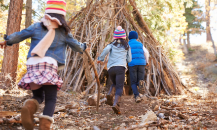 La educación ambiental en las escuelas del siglo XXI: un compromiso con el futuro