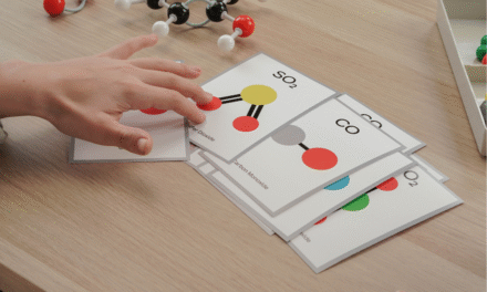 Laboratorios de pensamiento: cuando la curiosidad guía el aprendizaje