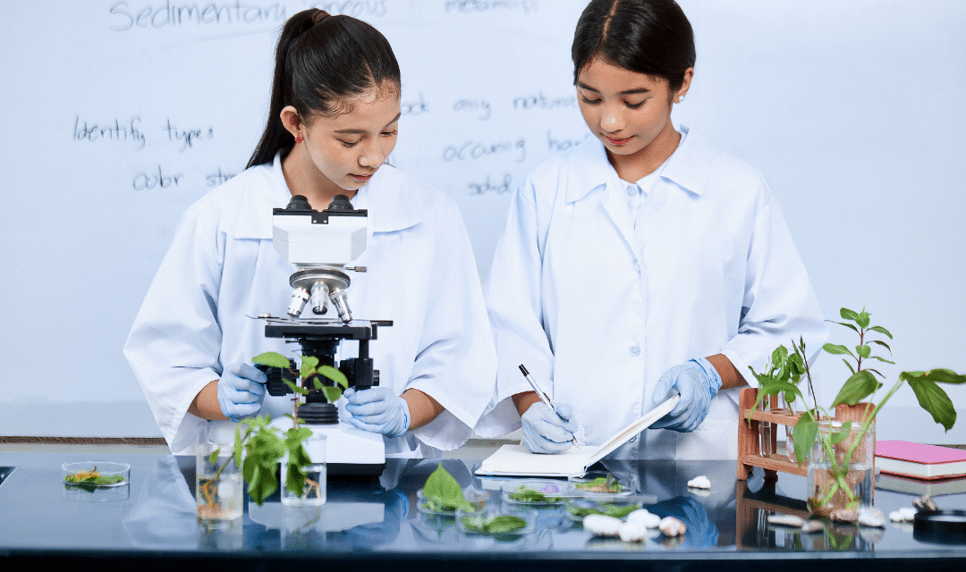 Cómo los laboratorios escolares conectan la teoría con la vida real
