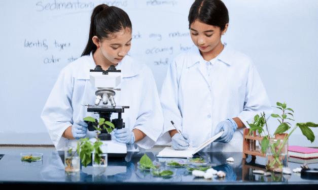 Cómo los laboratorios escolares conectan la teoría con la vida real