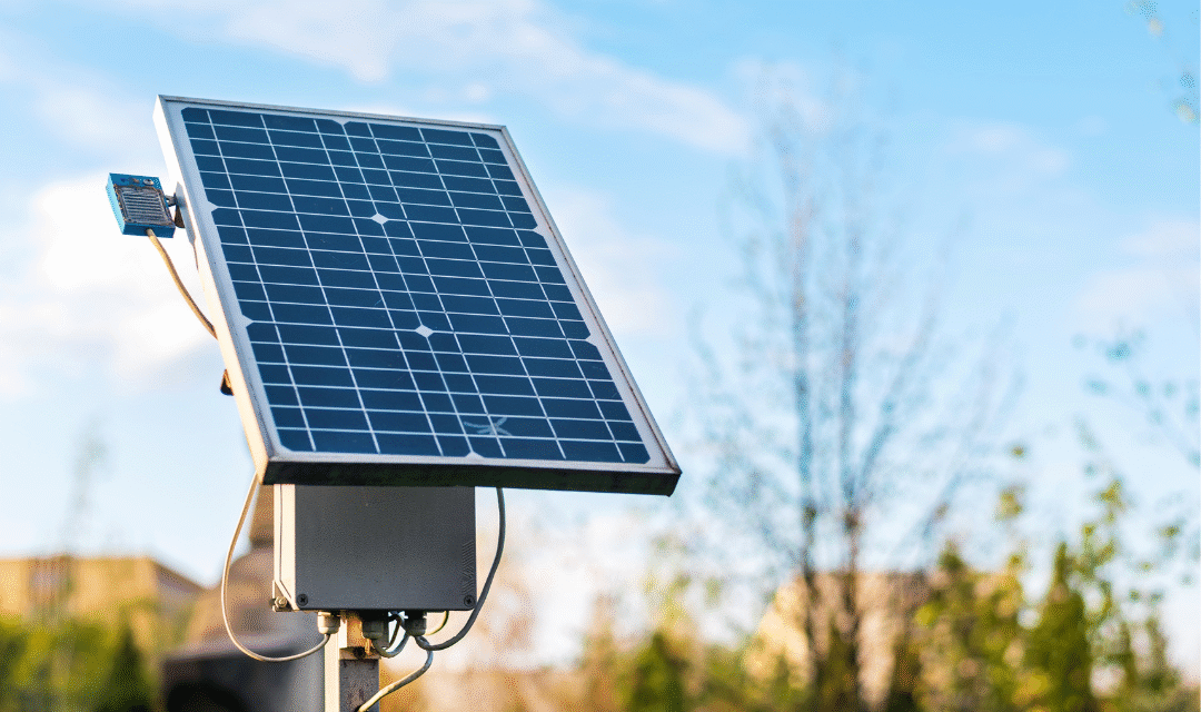 Educación verde en África: el aula como motor del cambio ambiental