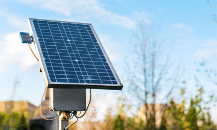 Educación verde en África: el aula como motor del cambio ambiental