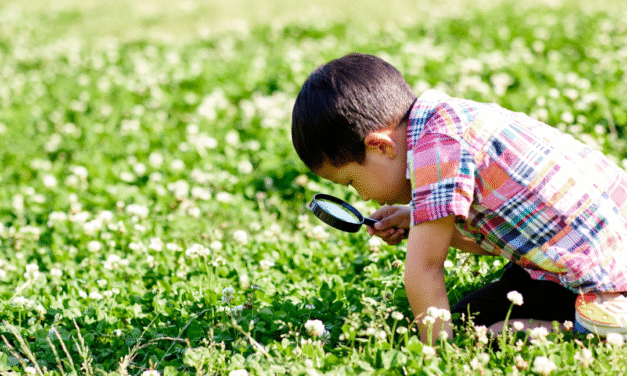 La escuela como espacio de compromiso ambiental