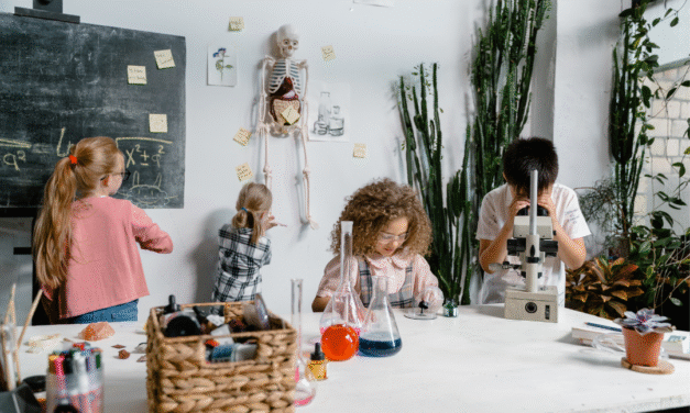 Aprender juntos: el aula como espacio de convivencia y crecimiento