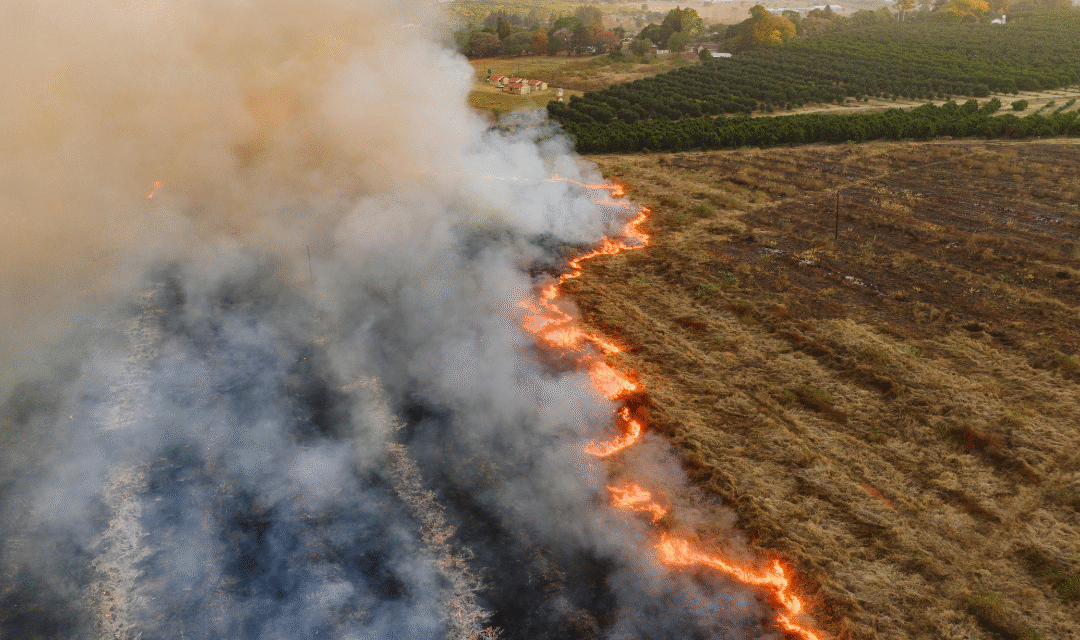 Educación en emergencias: lecciones mundiales de conflictos y desastres naturales