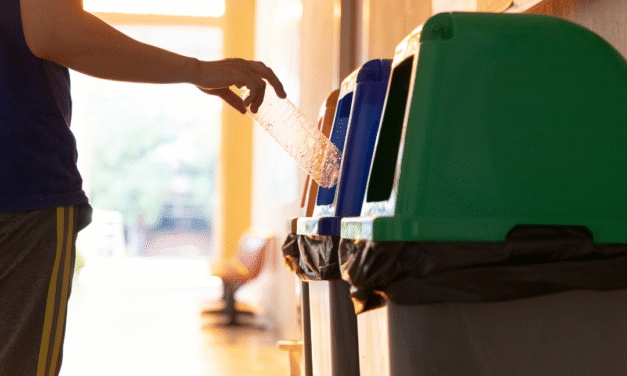 Programas globales de educación ambiental que inspiran a estudiantes y comunidades