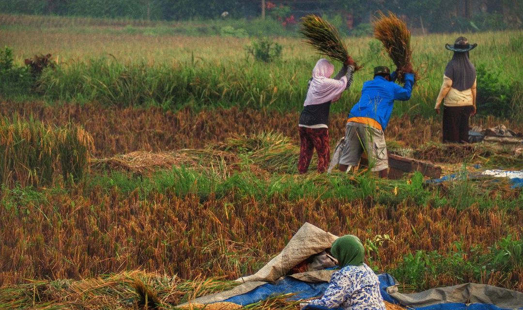 El hogar como aula: la educación familiar en los pueblos de la Edad Media