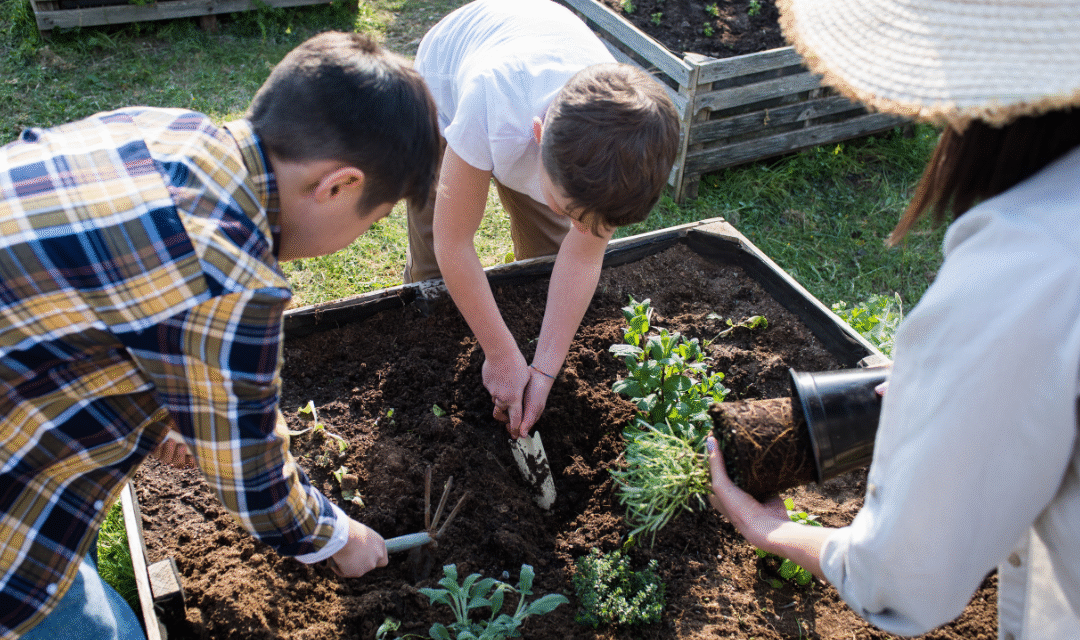 Escuelas sostenibles en Brasil: el poder educativo de las huertas escolares