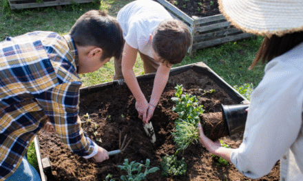 Escuelas sostenibles en Brasil: el poder educativo de las huertas escolares