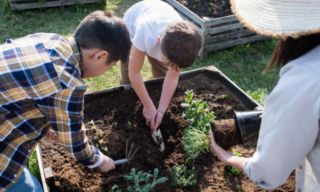Escuelas sostenibles en Brasil: el poder educativo de las huertas escolares