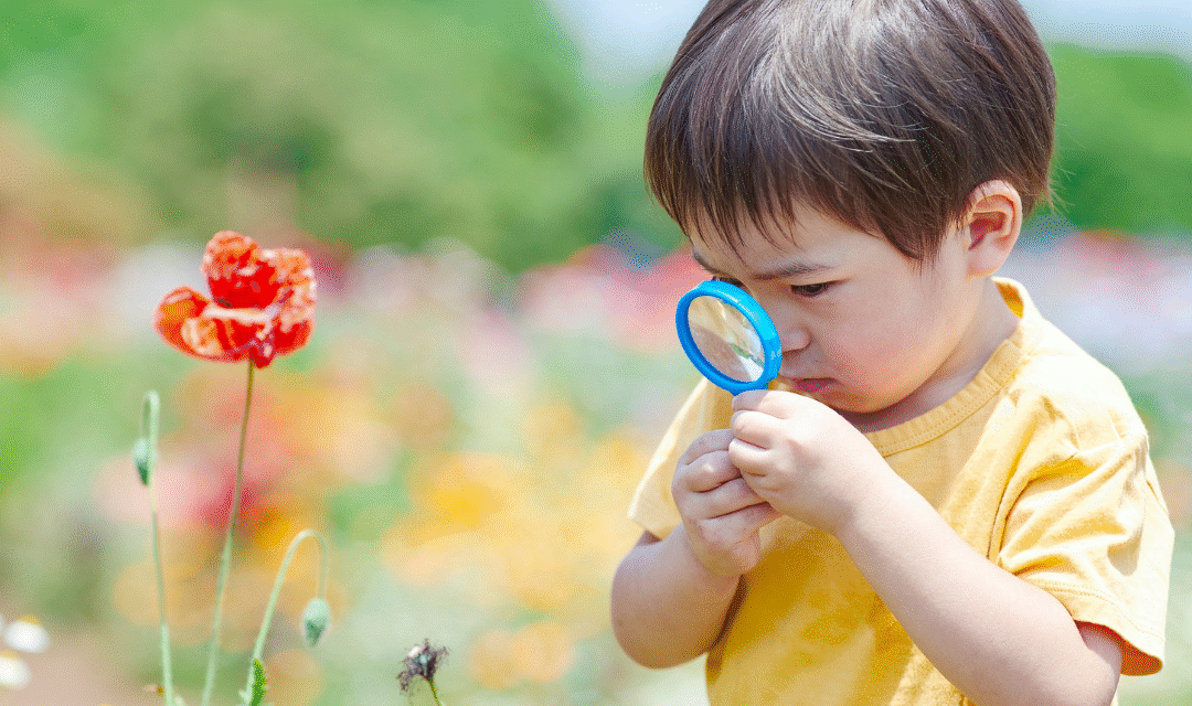 La enseñanza por observación en el mundo griego