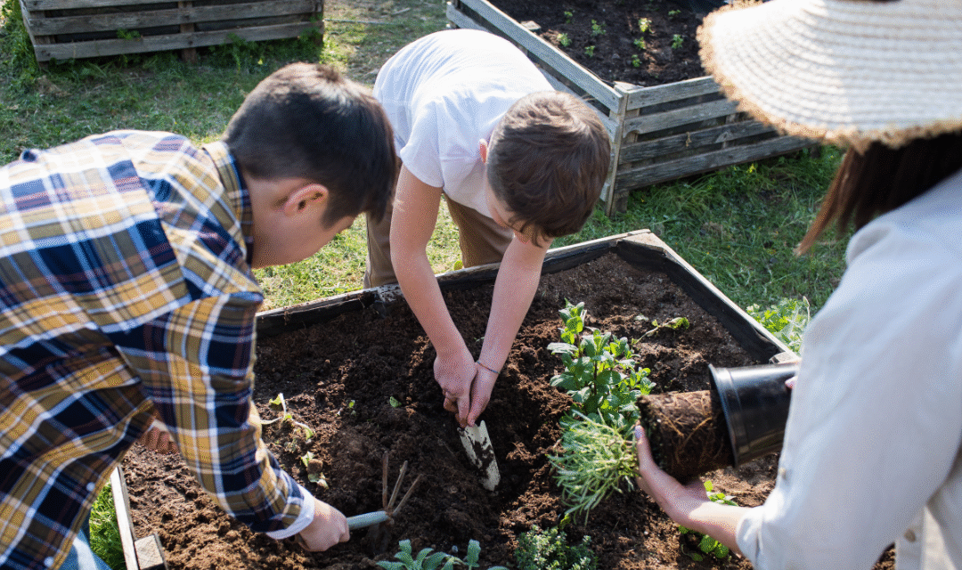 Niños que cuidan el planeta: cómo enseñar hábitos ecológicos desde temprana edad