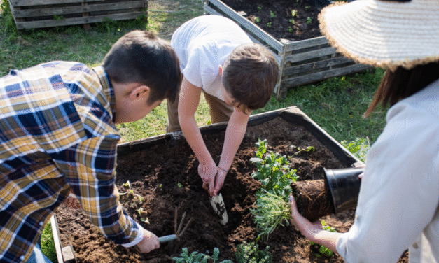 Niños que cuidan el planeta: cómo enseñar hábitos ecológicos desde temprana edad