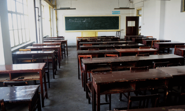 El poder del ayer en los proyectos de hoy: cuando la historia inspira el futuro