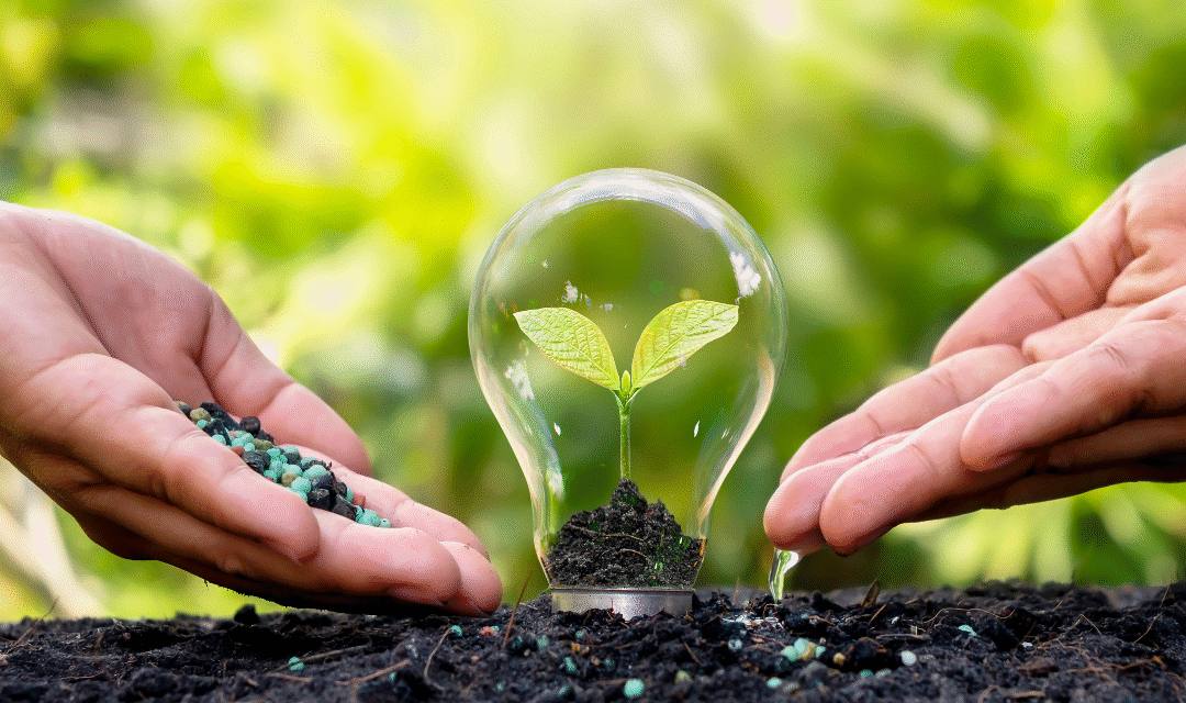 Innovación educativa para comprender la justicia climática