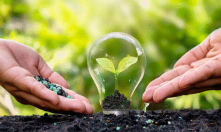 Innovación educativa para comprender la justicia climática