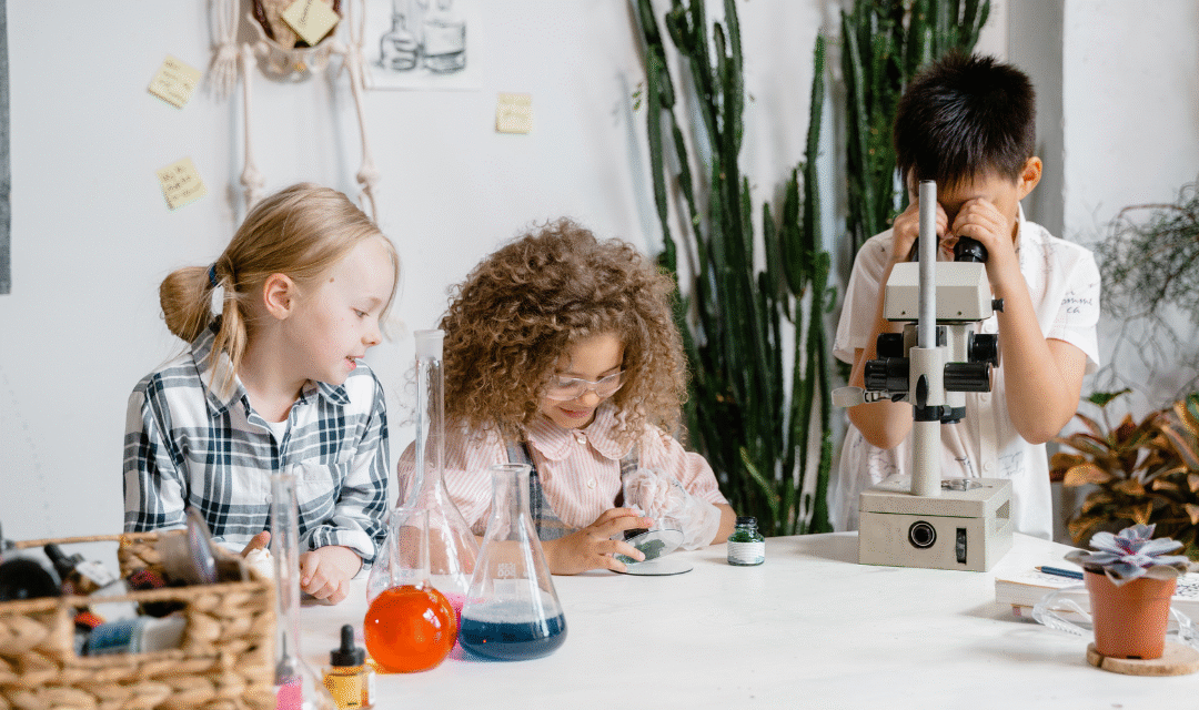 El poder de la curiosidad para transformar la forma de aprender