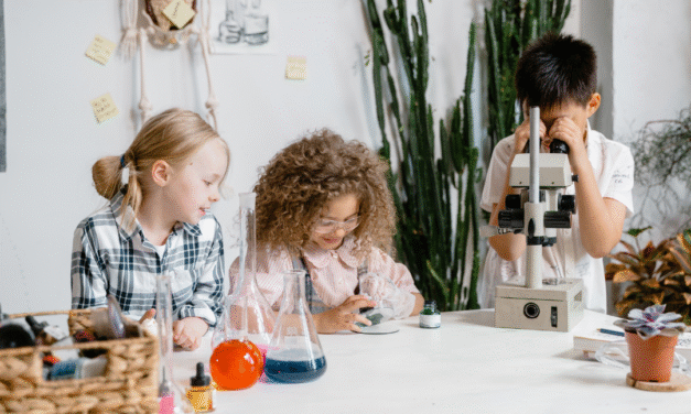 El poder de la curiosidad para transformar la forma de aprender