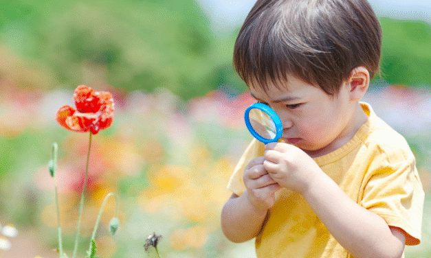 La enseñanza por observación en el mundo griego