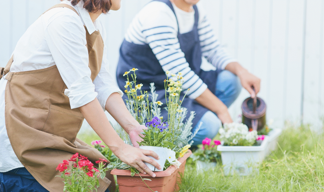 Centros escolares sostenibles: ideas accesibles para cambiar el día a día