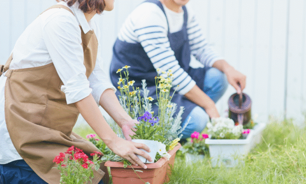 Centros escolares sostenibles: ideas accesibles para cambiar el día a día