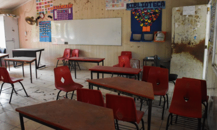 Soluciones económicas para mejorar las escuelas públicas mexicanas