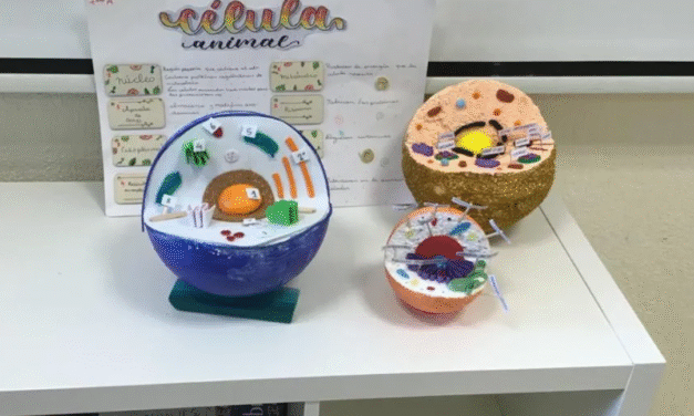 Células animales y vegetales: explicación simple y útil