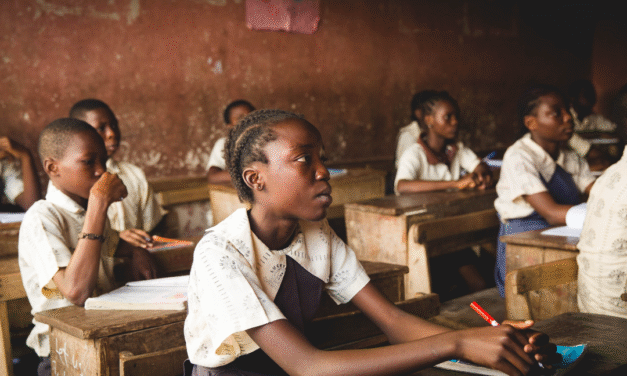 Aprender para comprender: la raíz más profunda de la educación