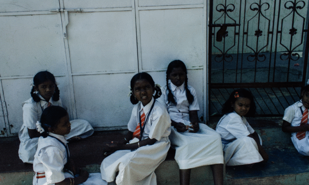 Desigualdad educativa y mercado escolar: claves para entender