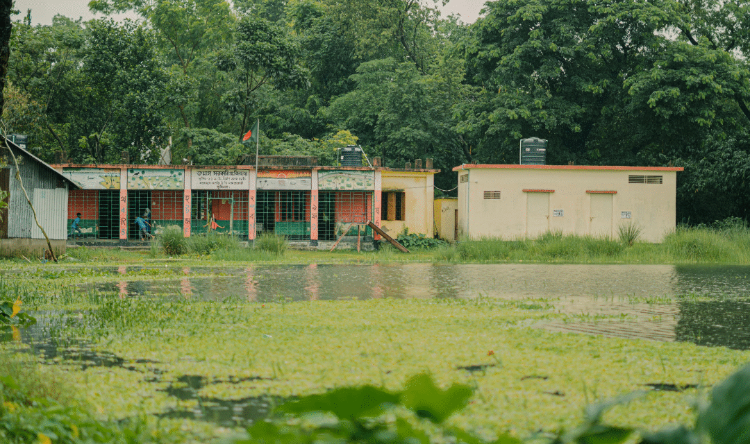 Escuelas rurales: soluciones accesibles para mejorar infraestructura