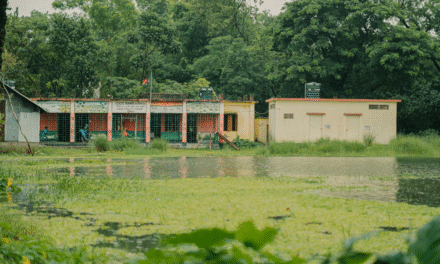 Escuelas rurales: soluciones accesibles para mejorar infraestructura