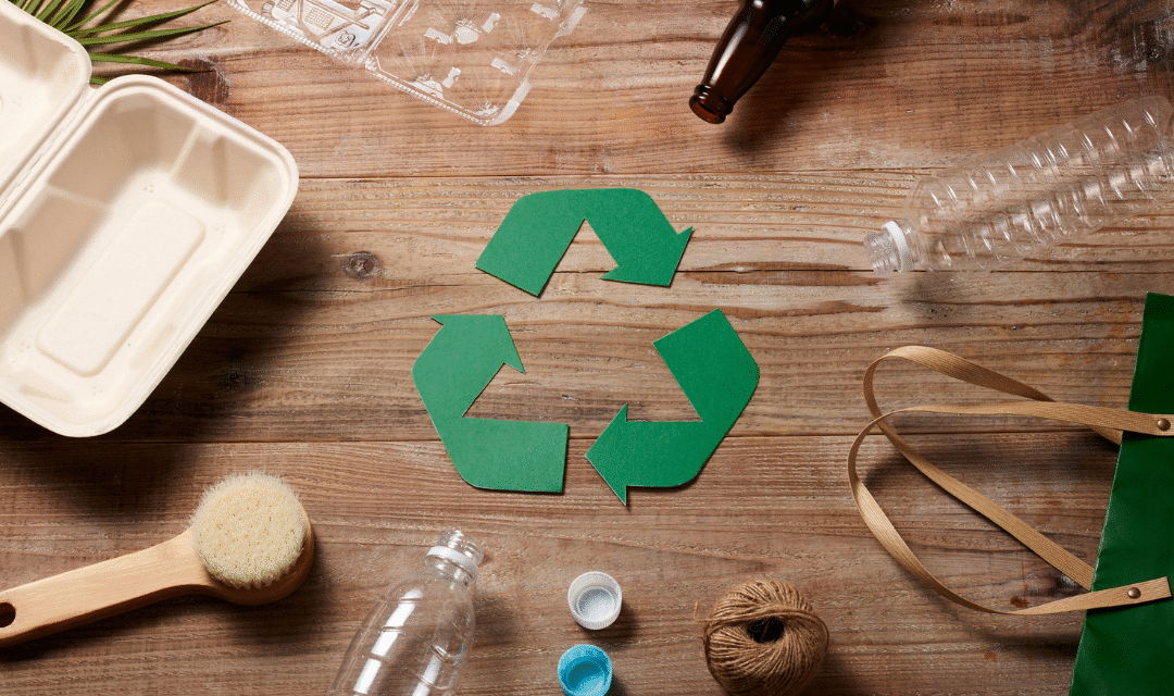 Escuelas sostenibles: así se integra el cuidado del ambiente en la enseñanza actual