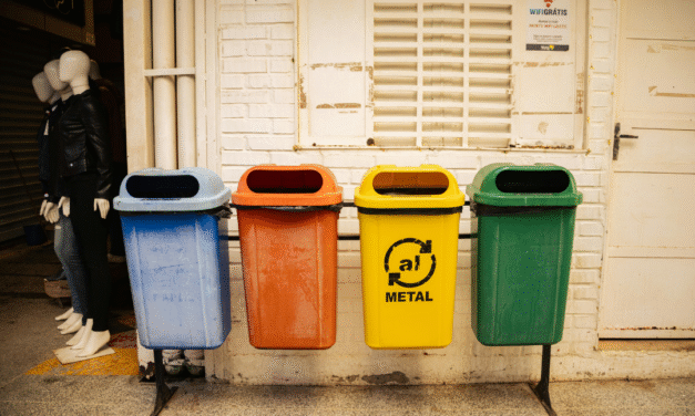 Formación en proyectos educativos con impacto social