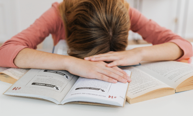 Las verdaderas razones del burnout en las escuelas