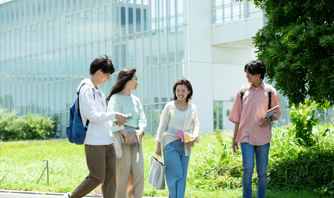 Carrera universitaria vs tecnicatura: guía completa