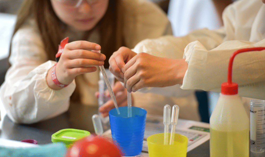 Posgrado en educación stem: innovación y crecimiento laboral