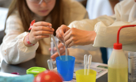 Posgrado en educación stem: innovación y crecimiento laboral