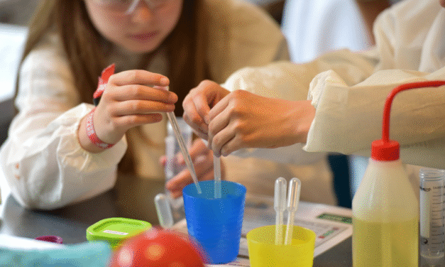 Posgrado en educación stem: innovación y crecimiento laboral