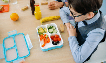 Guía completa para armar loncheras sanas y accesibles