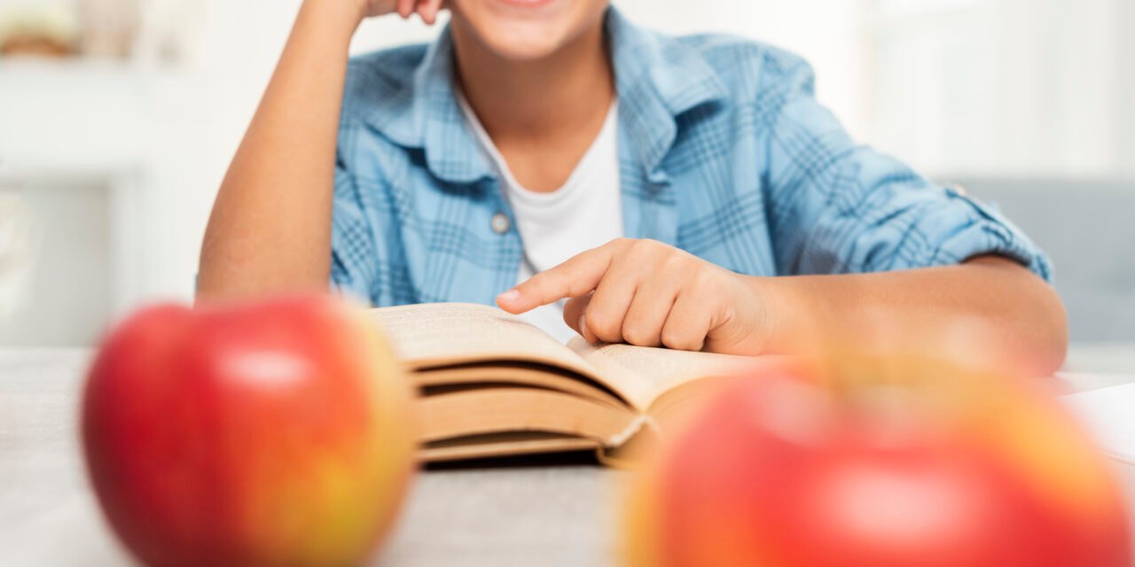 Escuela y Nutrición: Proyectos de alimentación saludable que involucran a los quioscos escolares
