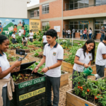 El secreto de los colegios que comunican solidaridad: atrae estudiantes sin agencias privadas